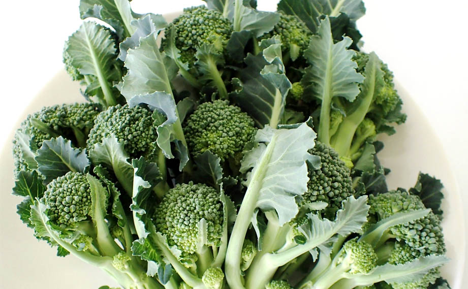 ブロッコリー　チャンピオン<