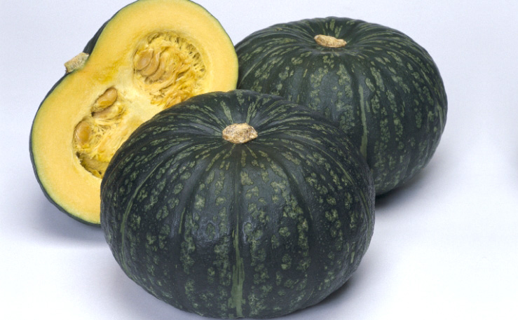 カボチャ　えびす<