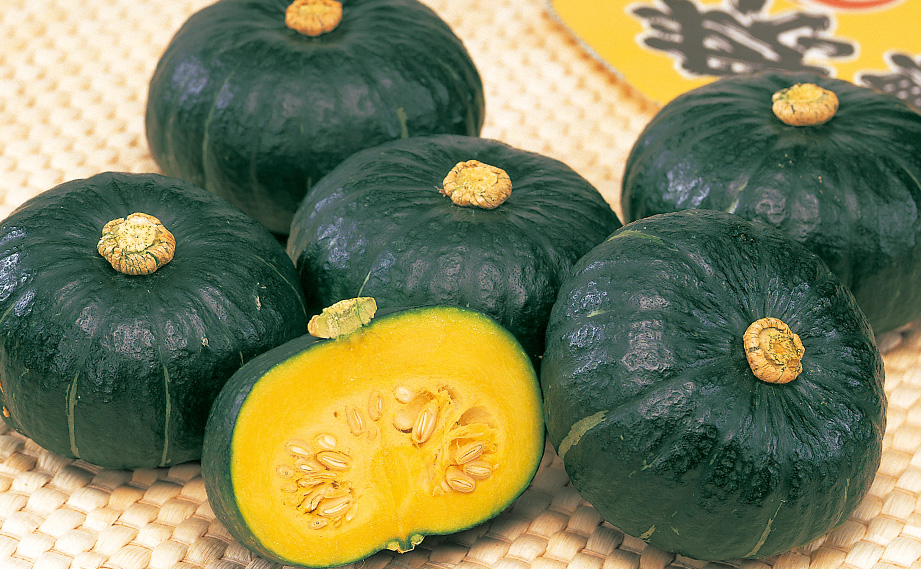 カボチャ　栗っプチ<