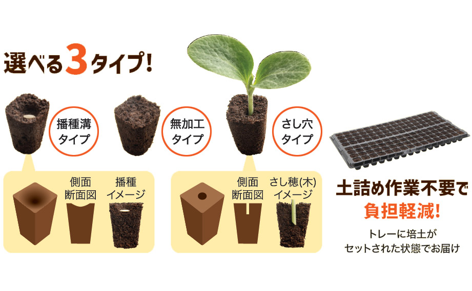 カネコ種苗　コカピー<