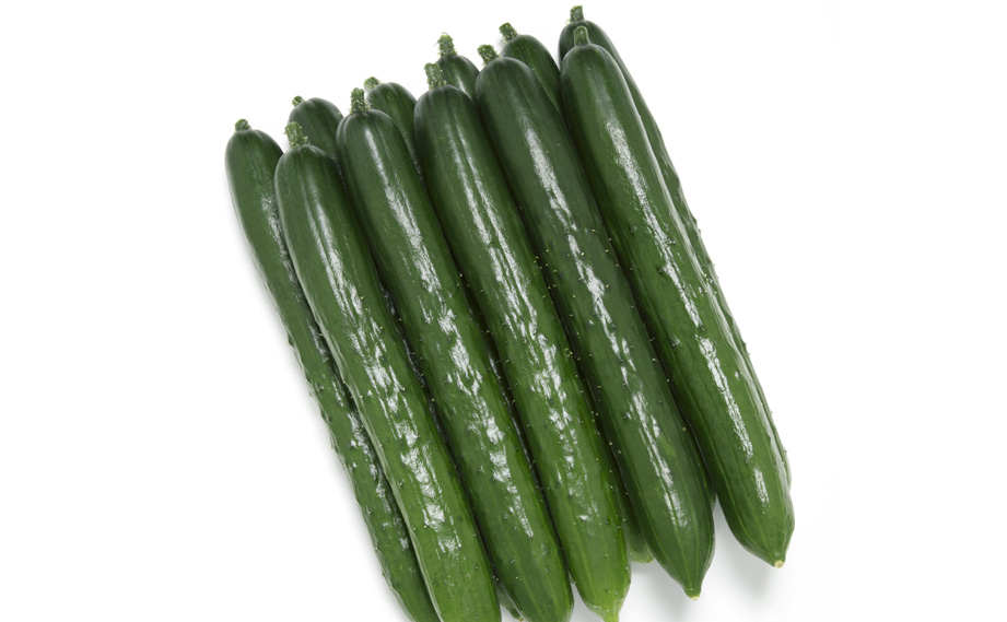 キュウリ　VR夏すずみ<