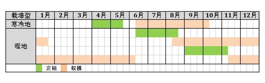 ラベルイメージ