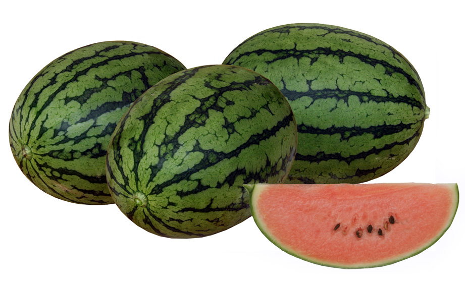 小玉スイカ　飛紅船ラルク<