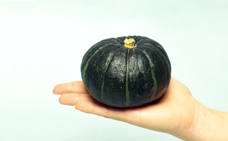 カボチャ　坊ちゃん<