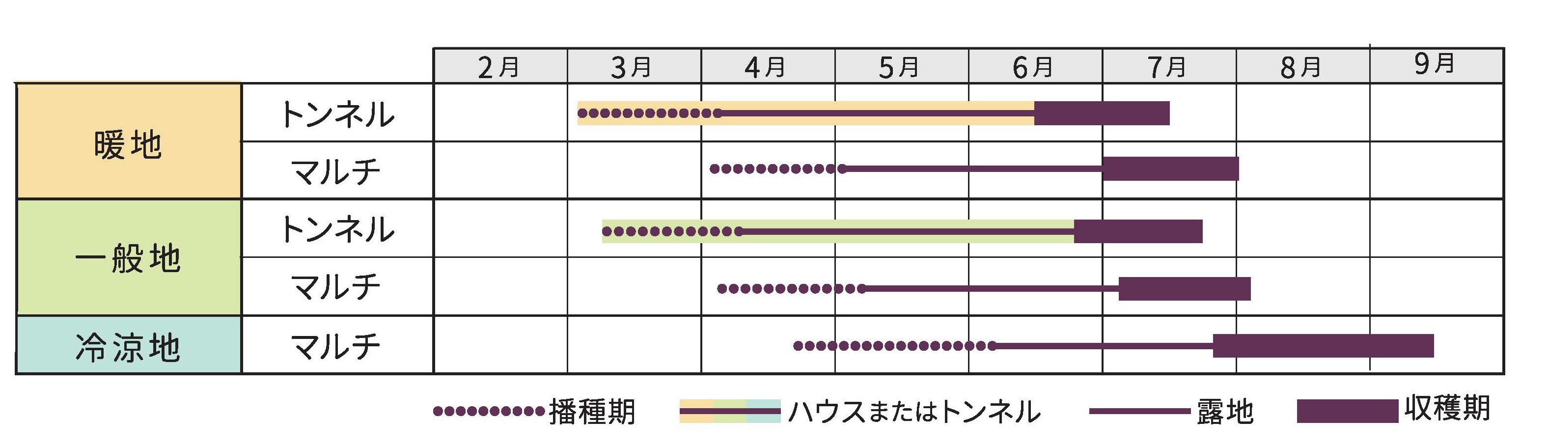 ラベルイメージ