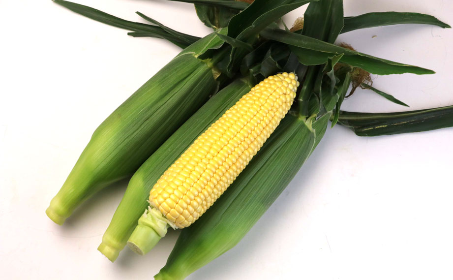 トウモロコシ　ミルキースイーツ<