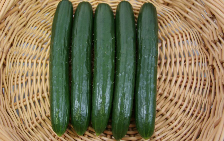 キュウリ　なるなる<