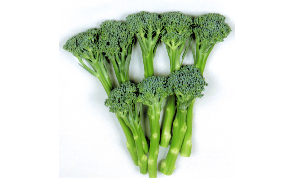 ブロッコリー　スティックセニョール<