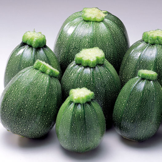 ズッキーニ　ミニ丸 シリーズ 