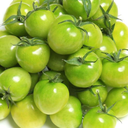 ミニトマト　CFプチぷよ シリーズ 松島交配