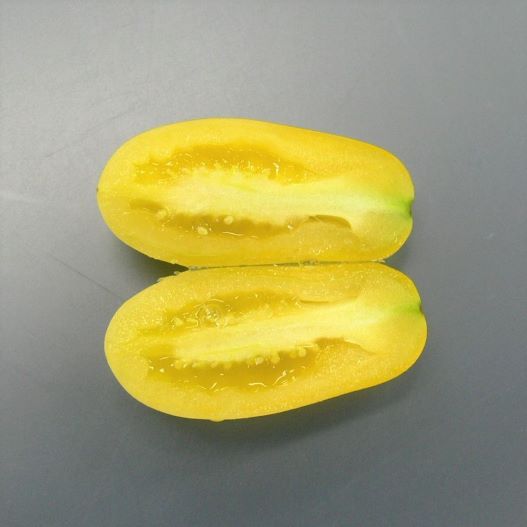 ミニトマト　リモーネドルチェ プラム型