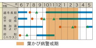 ラベルイメージ