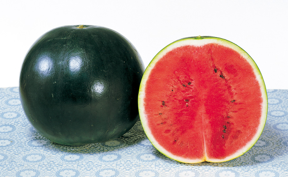 スイカ　タヒチ<