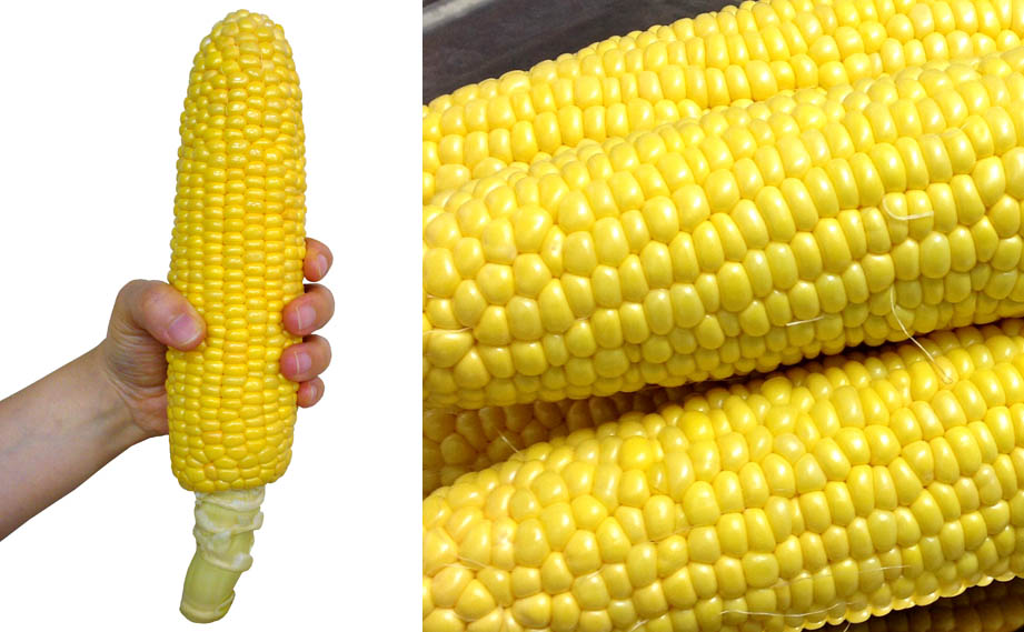 トウモロコシ　おおもの<