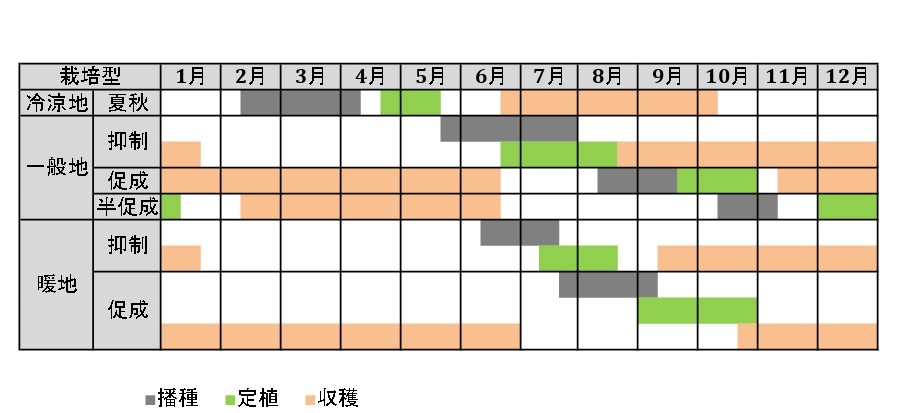 ラベルイメージ