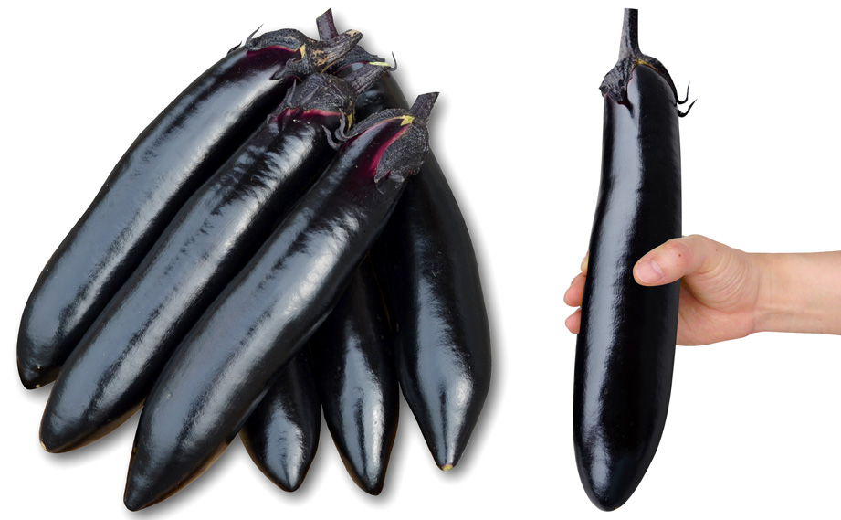 ナス　ふわとろ長<