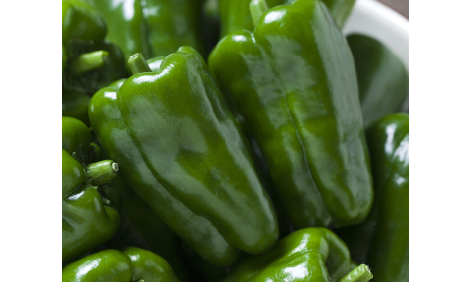 ピーマン　京波<