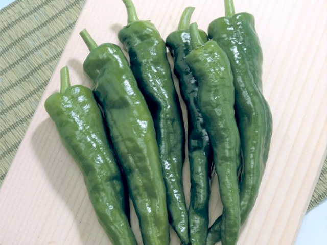 トウガラシ　甘とう美人<