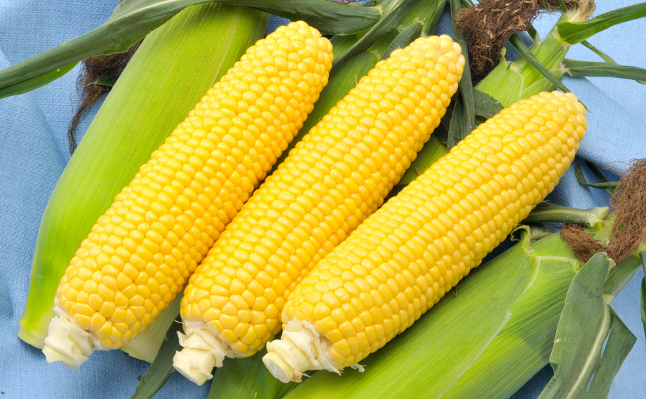 トウモロコシ　あまいんです88<